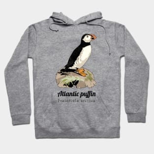 Atlantic puffin Hoodie